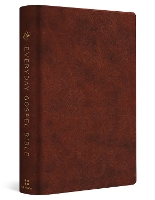 ESV Everyday Gospel Bible