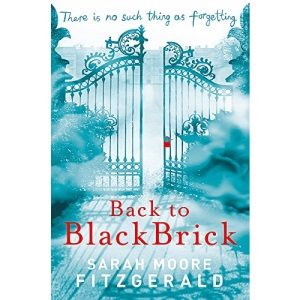 Back to Blackbrick