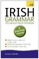 Irish Grammar You Really Need to Know: Teach Yourself