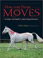 How Your Horse Moves