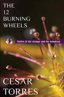 The 12 Burning Wheels