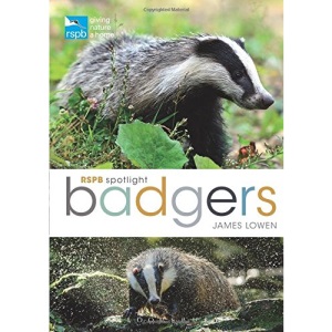 RSPB Spotlight: Badgers