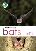 RSPB Spotlight Bats