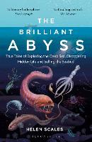 The Brilliant Abyss