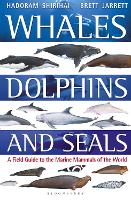 Whales, Dolphins and Seals