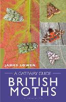 British Moths