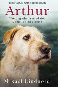Arthur: The dog who crossed the jungle to find a home