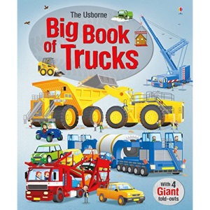Big Book of Trucks (Big Books)