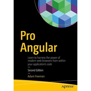 Pro Angular