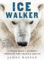 Ice Walker