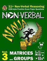 11+ Non Verbal Reasoning
