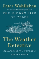 The Weather Detective