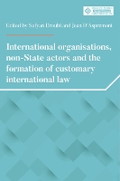 International Organisations, Non-State Actors, and the Formation of Customary International Law