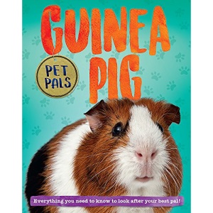 Guinea Pig (Pet Pals)