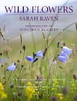 Sarah Raven's Wild Flowers