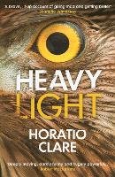 Heavy Light