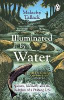 Illuminated By Water
