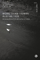 More-Than-Human Aesthetics