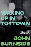 Waking Up in Toytown