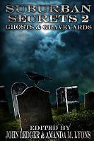 Suburban Secrets 2