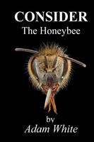 Consider The Honeybee