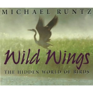 Wild Wings: Hidden World of Birds