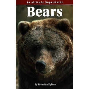 Bears