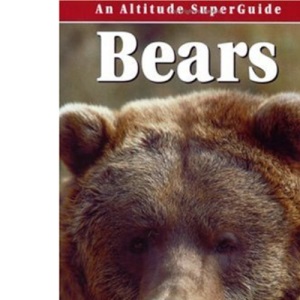 Bears
