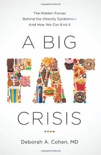 Big Fat Crisis