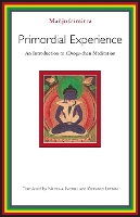 Primordial Experience