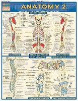 Anatomy 2 - Reference Guide
