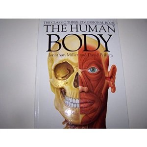 Human Body