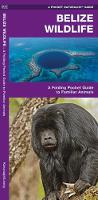Belize Wildlife