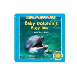 Baby Dolphin's Busy Day (Smithsonian Baby Animals)