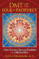 DMT and the Soul of Prophecy