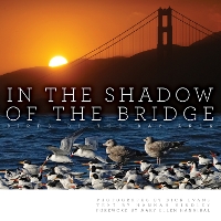 In the Shadow of the Bridge