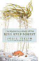 The Mysterious World of the Bull Kelp Forest