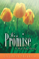 It's A Promise