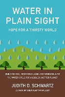 Water in Plain Sight