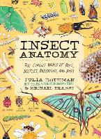 Insect Anatomy