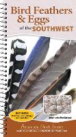 Bird Feathers & Eggs of the Southwest