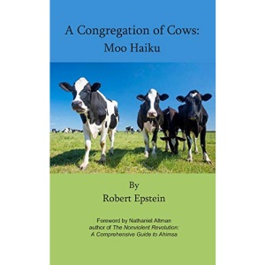 A Congregation of Cows