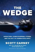 The Wedge