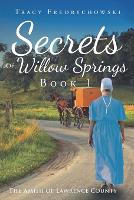 Secrets of Willow Springs - Book 1