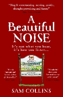 A Beautiful Noise