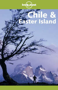 Chile and Easter Island (Lonely Planet Travel Guides)