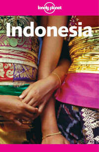 Indonesia (Lonely Planet Indonesia)