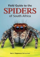 Field Guide to the Spiders of South Africa