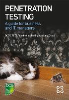 Penetration Testing