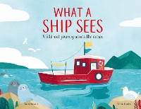 What a Ship Sees